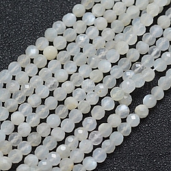 Bianco naturale perline pietra di luna fili, sfaccettato, tondo, bianco, 3mm, Foro: 0.5 mm, circa 113pcs/filo, 15.35 pollice (39 cm)