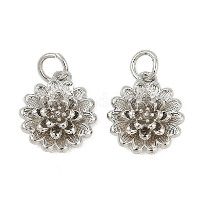 Латунь подвески KK-S527-12P-1