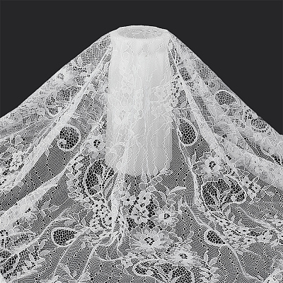 Нейлоновая кружевная ткань DIY-WH20062-24B-1