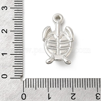 Пластмассовые подвески ccb CCB-I007-06P-1