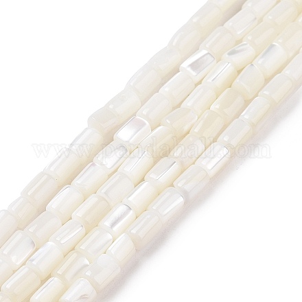 Brins de perles de coquillages naturels de troca SSHEL-H070-01G-1