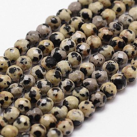 Chapelets de perles en jaspe dalmatien naturelle G-D840-49-4mm-1