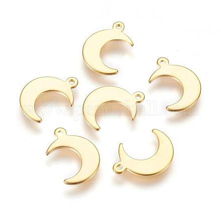 304 Stainless Steel Charms STAS-H557-31G-1