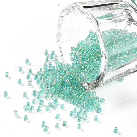 Perline di semi di vetro rotonde di grado 11/0 SEED-N001-E-320-1