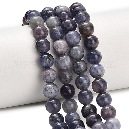 Природные иолит нитей бисера G-G300-A04-8mm-1