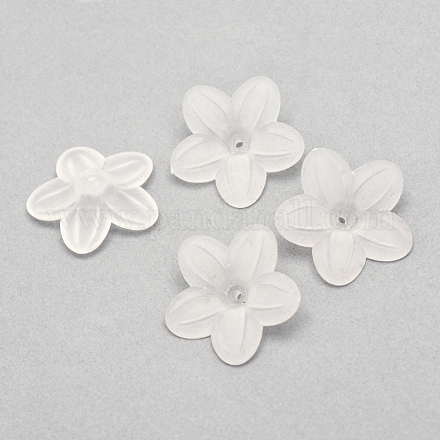 Perles en acrylique transparente X-FACR-Q009-17A-1