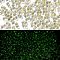 Luminous Glass Seed Beads, Glow in the Dark, Peanut, Light Khaki, 2.5x4x2mm, Hole: 0.8mm, about 11250pcs/pound