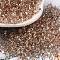 Baking Paint Glass Seed Beads, Peanut, Camel, 3.5~4x2~2.5x2~2.3mm, Hole: 0.8mm, about 8000pcs/pound