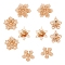 10Pcs 5 Style Brass Rhinestone Pendants, with Brass Cabochon Rhinestone Settings & Pendant Rhinestone Settings, Flower, Light Gold, 27x25x4mm, Hole: 1.5mm