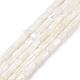 Brins de perles de coquillages naturels de troca SSHEL-H070-01G-1