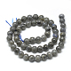 Natural Labradorite Beads Strands G-R446-8mm-14-2