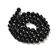 Natural Black Tourmaline Beads Strands G-K345-A04-01-3