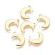 304 Stainless Steel Charms STAS-H557-31G-1