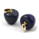 Breloques de pomme de professeur de lapis-lazuli naturel teint G-Z022-02H-G-2