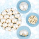 GORGECRAFT 200Pcs Sewing Pearl Beads Two Holes Sew on Pearls and Rhinestones with Gold Claw Flatback Half Round Pearl Garment Accessories for Craft Clothes (9.5MM) SACR-GF0001-03B-3