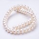 Natural Cultured Freshwater Pearl Beads Strands PEAR-P002-30-01-2