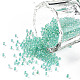 Perline di semi di vetro rotonde di grado 11/0 SEED-N001-E-320-1