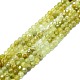 Natürlichen grünen Granat Perlen Stränge G-P457-A04-25-1