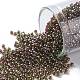 Toho perles de rocaille rondes SEED-JPTR11-0250-1