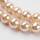 Shell Pearl Beads Strands BSHE-K011-10mm-VA066-3