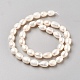Oval Natural Cultured Freshwater Pearl Beads Strands X-PEAR-R015-45-2