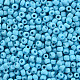 Perles de rocaille en verre SEED-A010-3mm-43-2