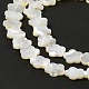 Bianco naturale perline shell fili SHEL-F003-07-6