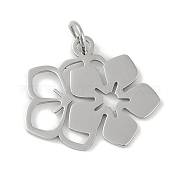 Подвески из нержавеющей стали 304 STAS-L279-035P