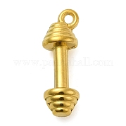 Ионное покрытие (ip) подвески из нержавеющей стали 304 STAS-M070-18G