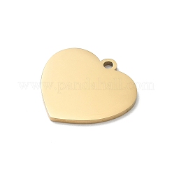 Pendentifs en acier inoxydable 304&nbsp;SA-CBA28C1-03G