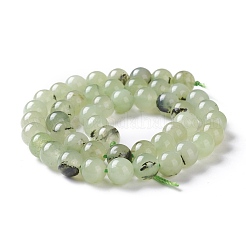 Бусины из натурального белого нефрита имитация пренита G-I299-F12-8mm