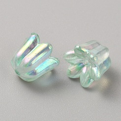 Прозрачные акриловые бусины TACR-CJC0004-04C