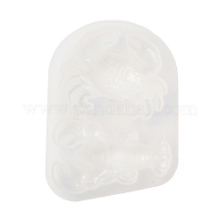 Moules Silicone pour bricolage&nbsp;SL-CBA4EBF-04A