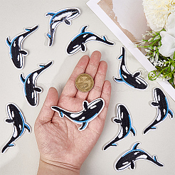 10 шт. Компьютеризированная вышивка ткань утюгом / пришить патчи&nbsp;DIY-CY0002-26