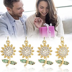 10шт латунные подвески с микропаве и кубическим цирконием KK-BBC0020-63