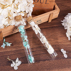 Пустые стеклянные бутылки AJEW-BC0005-36B