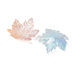 Transparenten Acryl-Anhänger&nbsp;AC-CBA5040-06