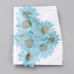 Fleurs séchées pressées&nbsp;DIY-WH0308-412B-1