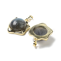 Природные подвески лабрадорита&nbsp;G-G069-01G-06