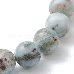 Натуральные круглые бусины ларимара&nbsp;BJEW-JB13382-01