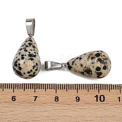 Природные яшмы далматин подвески&nbsp;G-S364-072P-02