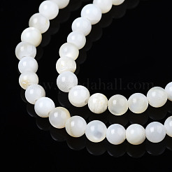 Eau douce naturelle de coquillage perles brins&nbsp;X-BSHE-T009A-01A