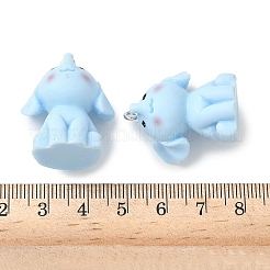 Подвески из непрозрачной смолы&nbsp;LS-RESI-C060-01