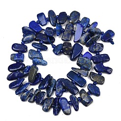 Natürlicher Lapislazuli Perlenstränge&nbsp;G-L657-E01-01
