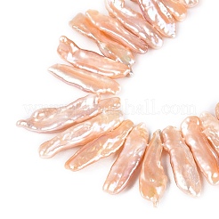 Cuentas de perlas de keshi barroco natural&nbsp;PEAR-S020-H13B