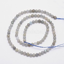 Chapelets de perles rondes en labradorite naturelle&nbsp;G-I156-01-4mm