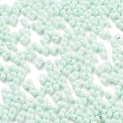 Perles de rocaille en verre&nbsp;X1-SEED-A033-05R