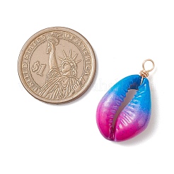 2 шт. подвески из натуральной ракушки каури&nbsp;PALLOY-JF04260