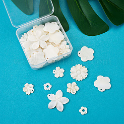 Природные подвески оболочки пресноводных&nbsp;SSHEL-KS0001-01