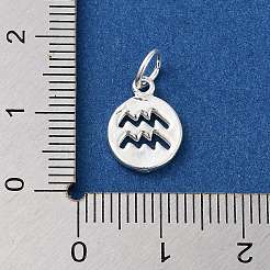 スターリングシルバーの星座チャーム925個  丸カン付き  銀色のメッキ  水瓶座  12x9x1.5mm  穴：3.5mm&nbsp;LS-STER-M118-01E